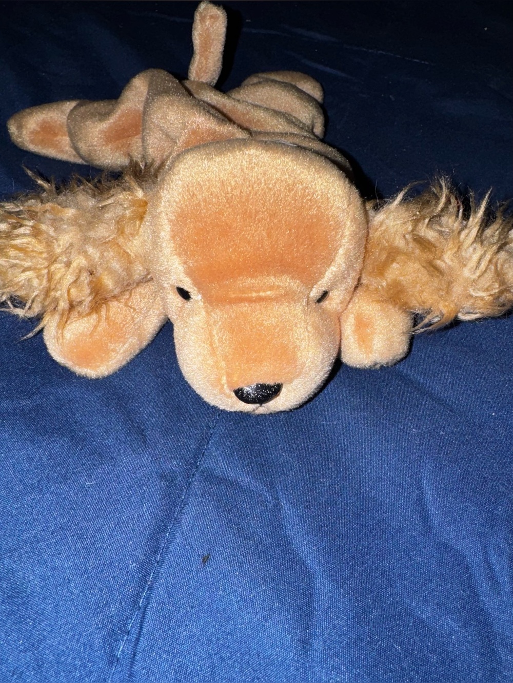 Ty Beanie Baby Spunky The Cocker Spaniel 1997 Retired